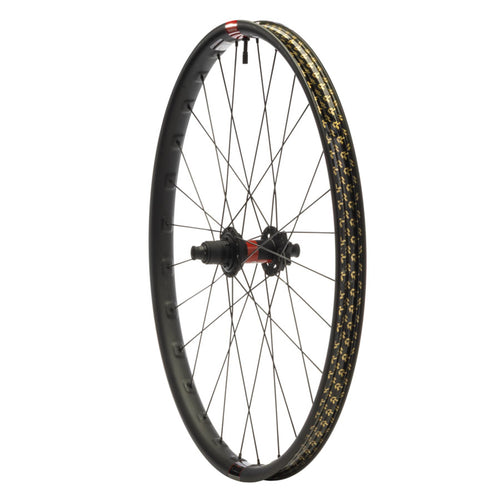 DT 240 / Reserve 30 HD Carbon Rear Wheel