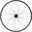 DT 350 / Stans Arch S2 Front Wheel - 29", 15 x 110mm, 6-Bolt, Black, 32H