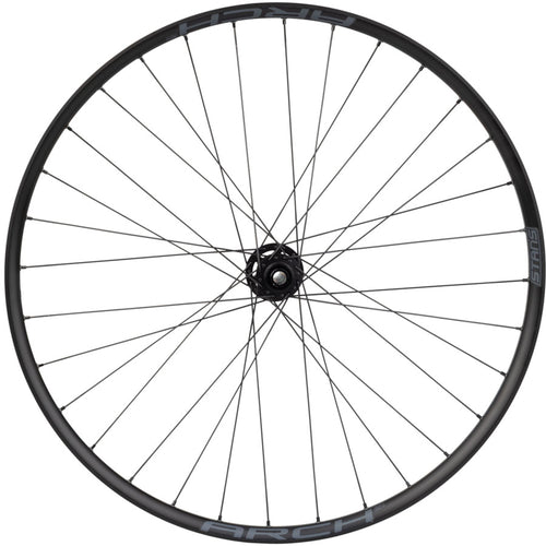 DT 350 / Stans Arch S2 Front Wheel - 29", 15 x 110mm, 6-Bolt, Black, 32H