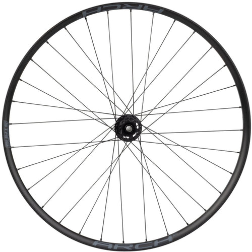 DT 350 / Stans Arch S2 Front Wheel - 29", 15 x 110mm, 6-Bolt, Black, 32H