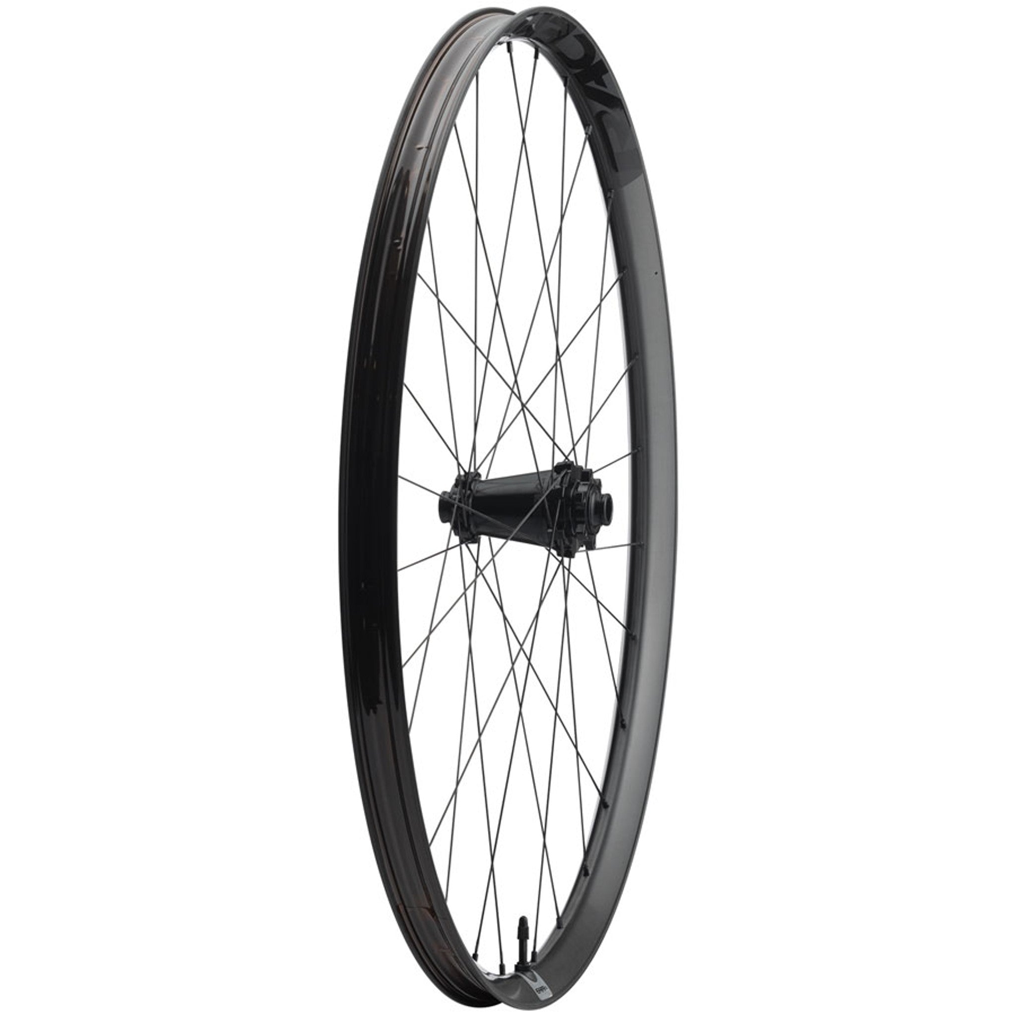 RaceFace Era SL Front Wheel - 29", 15 x 110mm, 6-Bolt, Carbon Black