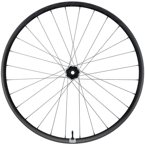 RaceFace Era SL Front Wheel - 29", 15 x 110mm, 6-Bolt, Carbon Black