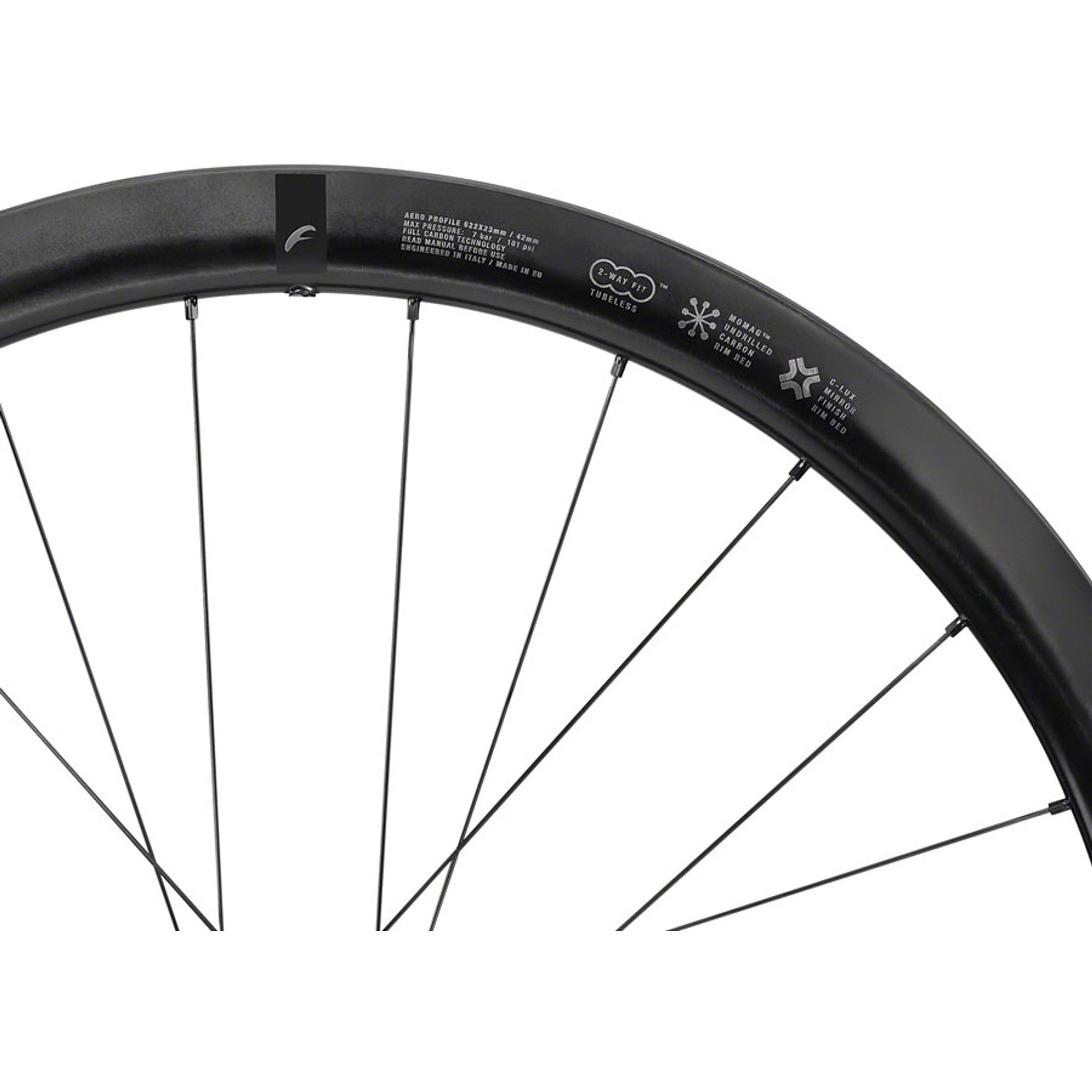 Fulcrum WIND 42 Front Wheel - 700, 12 x 100mm, Center-Lock, Black