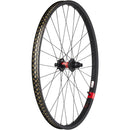 DT 240 / Reserve 30 HD Carbon Rear Wheel
