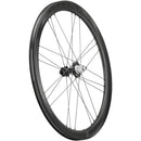 Campagnolo BORA WTO 45 C23 Rear Wheel - 700, 12 x 142mm, Center-Lock, N3W, 2-Way Fit, Carbon