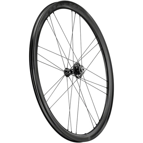 Bora WTO 35 C23 Front Wheel - 700c, 12 x 100mm, Center-Lock, 2-Way Fit, Carbon