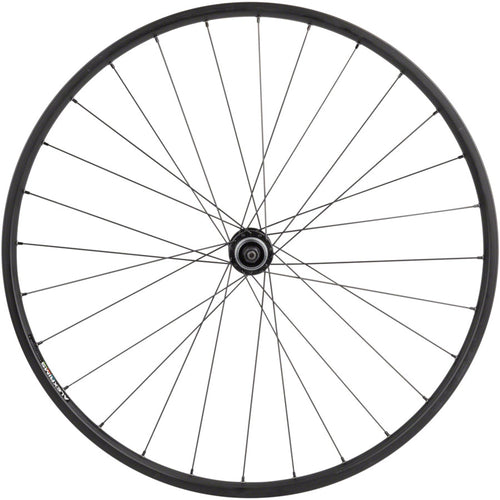 Value Double Wall Series Rim+Disc Rear Wheel