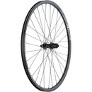 105 / DT R500 Disc Rear Wheel