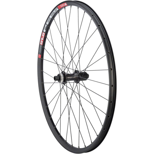 DT 533D Disc Rear Wheel