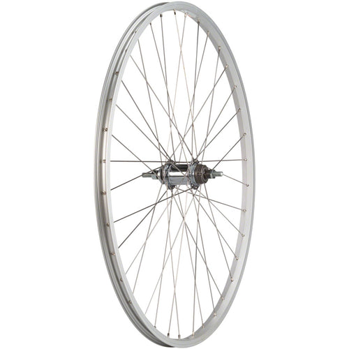 Value Single Wall Series Coaster Brake Rear Wheel