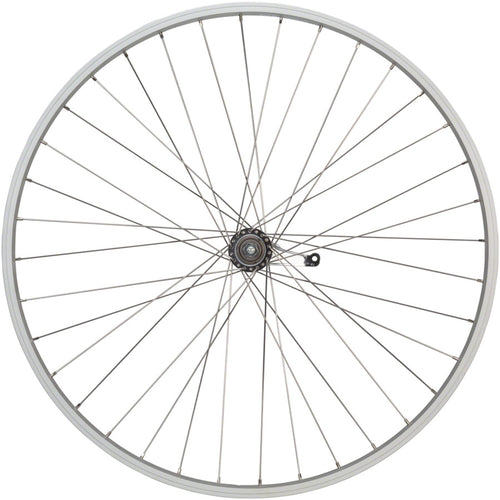 Value Single Wall Series Coaster Brake Rear Wheel
