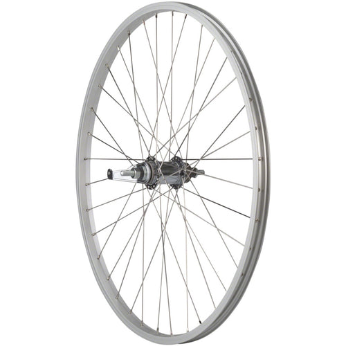 Value Single Wall Series Coaster Brake Rear Wheel