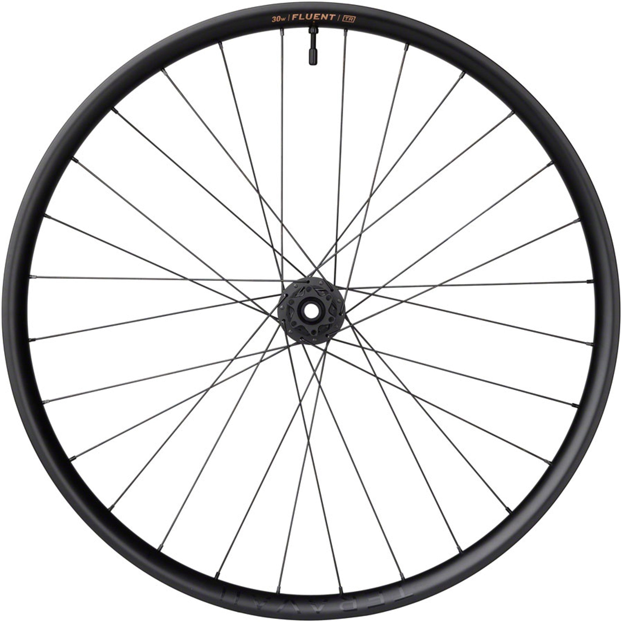 Teravail Fluent Mountain Front Wheel - 29", 15 x 110mm Boost, 6-Bolt, Carbon, DT350, 28H
