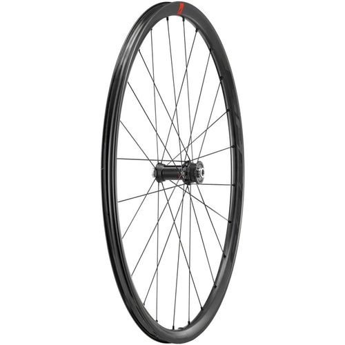 Speed 25 DB Front Wheel - 700c, 12 x 100mm, Center-Lock Disc, Black