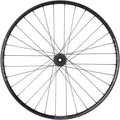 Bear Pawls / Stans Flow S2 Front Wheel - 29", 20 x 110mm Boost, 6-Bolt, Black, 32H