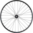 Bear Pawls / Stans Flow S2 Front Wheel - 29", 20 x 110mm Boost, 6-Bolt, Black, 32H