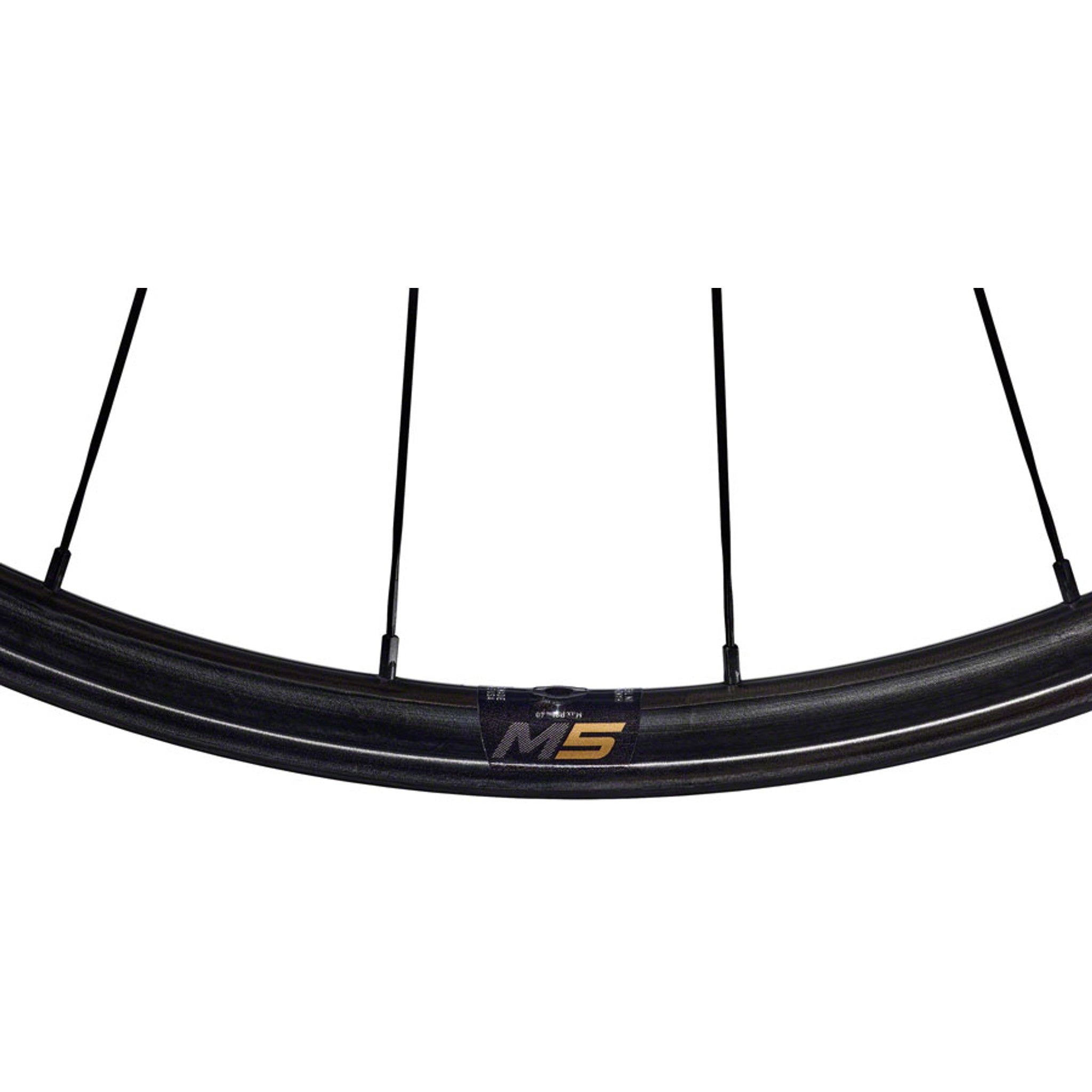 ENVE Composites M5 Pro Front Wheel - 29", 15 x 110, Center-Lock, Black