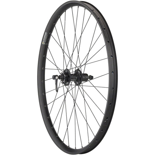 Alex EM30 Disc Rear Wheel