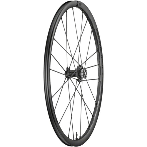Racing Zero Competizione DB Front Wheel - 700, 12 x 100mm, Center-Lock, Black