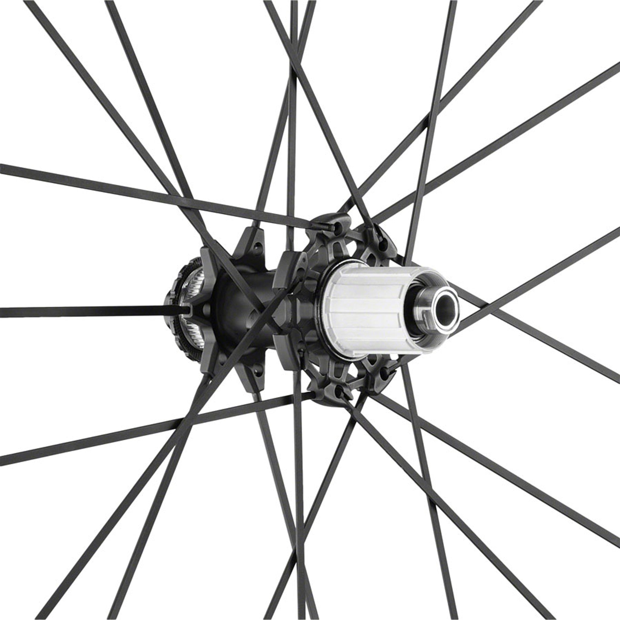 Racing Zero Competizione DB Rear Wheel - 700, 12 x 142mm, Center-Lock, HG 11, Black