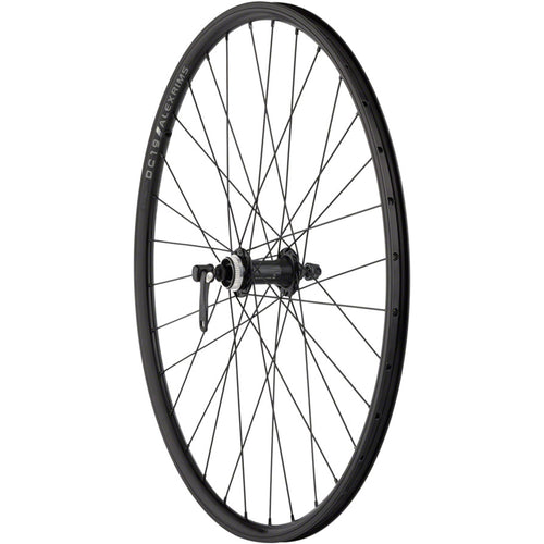 Value Double Wall Series Rim+Disc Front Wheel