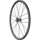 Racing Zero Carbon CMPTZN DB Front Wheel - 700, 12 x 100mm, Center-Lock, Black