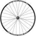 Shimano Tiagra/Weinmann U28 Front Wheel - 700c, 12 x 100mm, Center-Lock, Black, 32H