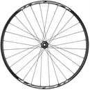 Shimano Tiagra/Weinmann U28 Front Wheel - 700c, 12 x 100mm, Center-Lock, Black, 32H