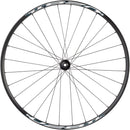Shimano Tiagra/Weinmann U28 Front Wheel - 700c, 12 x 100mm, Center-Lock, Black, 32H