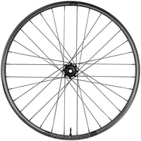 Enduro 315c Rear Wheel - 29", 12 x 148mm Boost, 6-Bolt, MicroSpline, 32H, Black