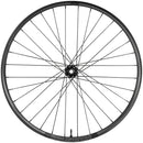 Enduro 315c Front Wheel - 29", 15 x 110mm Boost, 6-Bolt, Black, 32H, Black