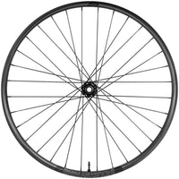 Enduro 315c Front Wheel - 29", 15 x 110mm Boost, 6-Bolt, Black, 32H, Black