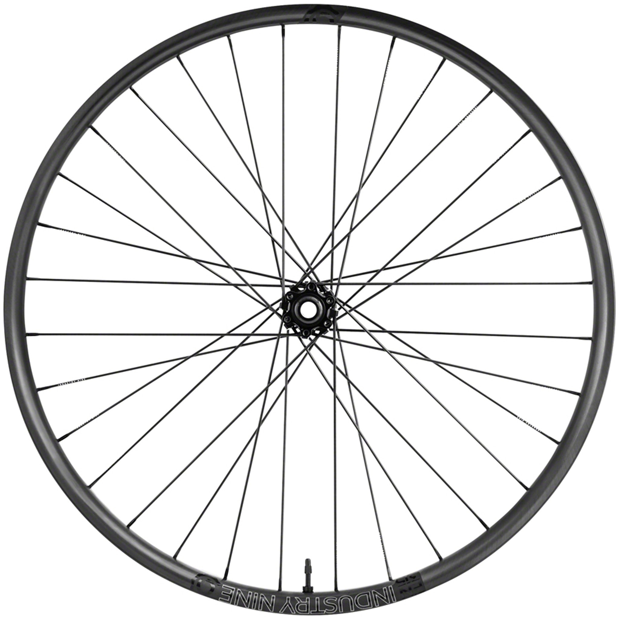 Enduro 315c Front Wheel - 29", 15 x 110mm Boost, 6-Bolt, Black, 32H, Black