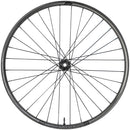 Enduro 355c Front Wheel - 29", 15 x 110mm Boost, 6-Bolt, Black, 32H