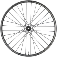 Enduro 355c Front Wheel - 29", 15 x 110mm Boost, 6-Bolt, Black, 32H