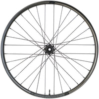 Enduro 355c Rear Wheel - 29", 12 x 148mm Boost, 6-Bolt, XD
