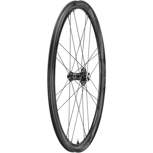 SHAMAL Carbon Disc Front Wheel - 700, 12 x 100mm, Centerlock, Black