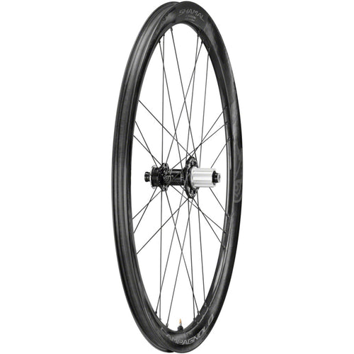 SHAMAL Carbon Disc Rear Wheel - 700, 12 x 100mm/12 x 142mm, Centerlock, N3W, Black