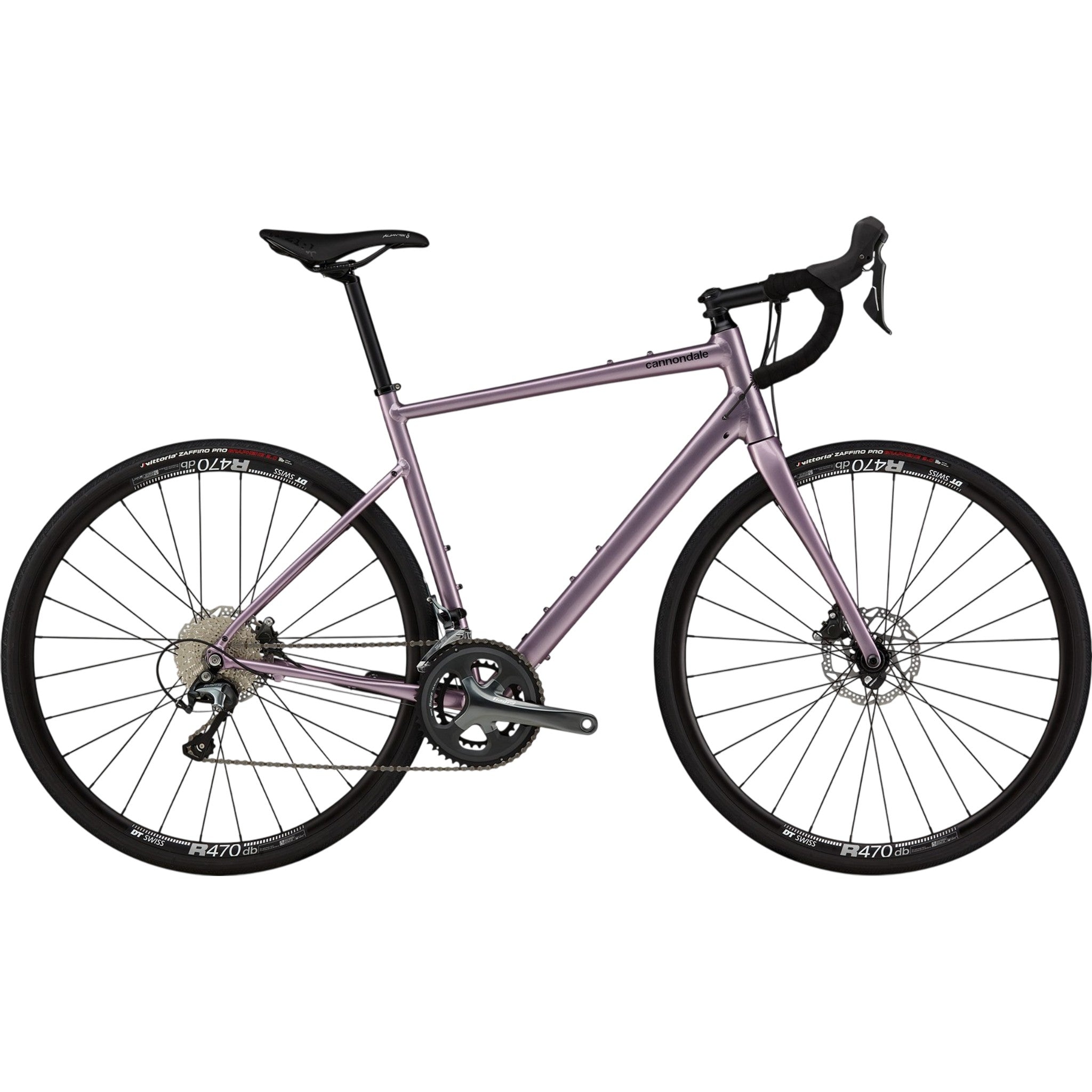 Lavender / 48
