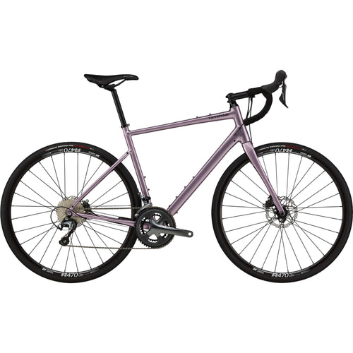 Synapse 2