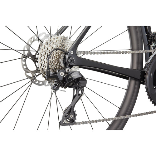 Synapse Crb 3 L