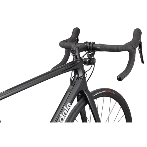 Synapse Crb 3 L