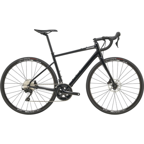 Synapse 1